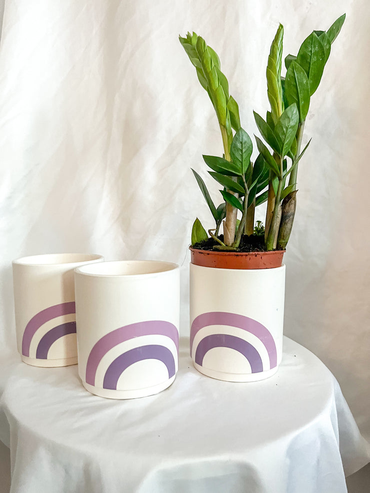 Lilac Rainbow Plant Pot