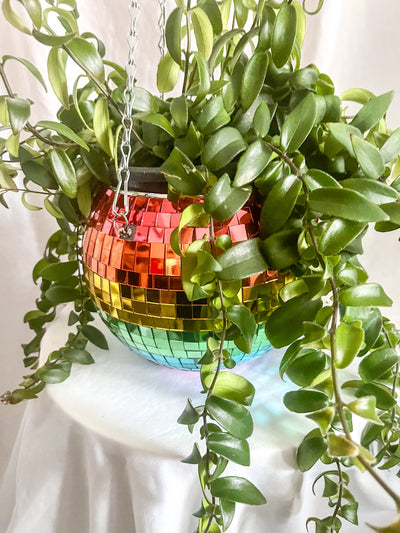 Large Disco Rainbow Mirror Ball Planter & Plant Set