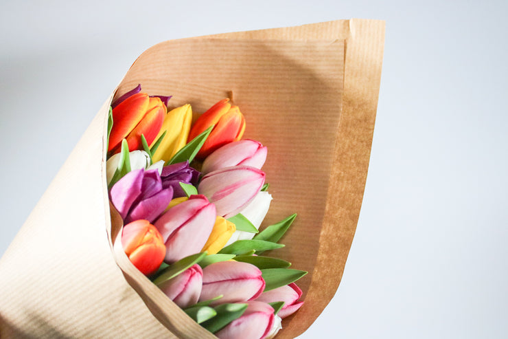 Fresh Mixed Coloured Spring Tulip Bunch