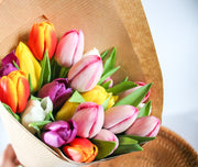 Fresh Mixed Coloured Spring Tulip Bunch