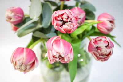 Fresh Pink Tulips & Eucalyptus Bouquet
