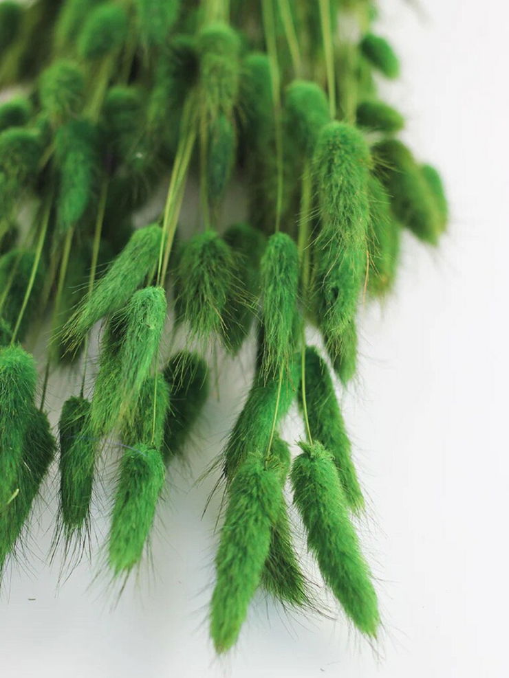 Green Bunny Tails