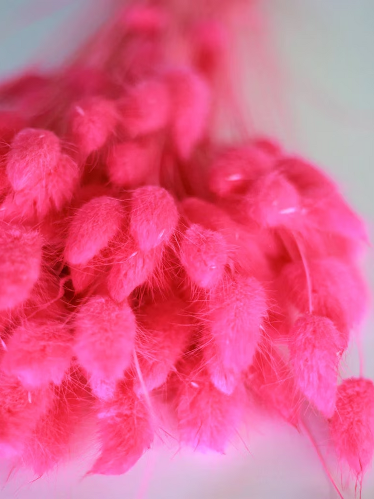 Hot Pink Bunny Tails