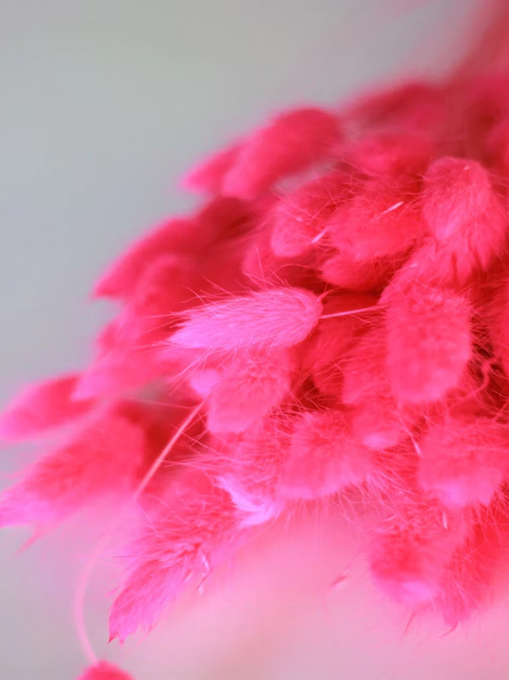 Hot Pink Bunny Tails
