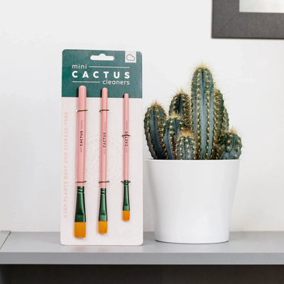 Mini Cactus Cleaners, Plant Accessories for Cactus