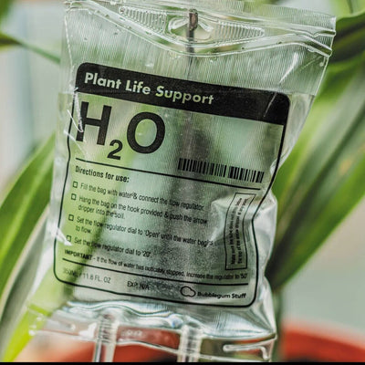 Plant life Support, Indoor house plant watering system