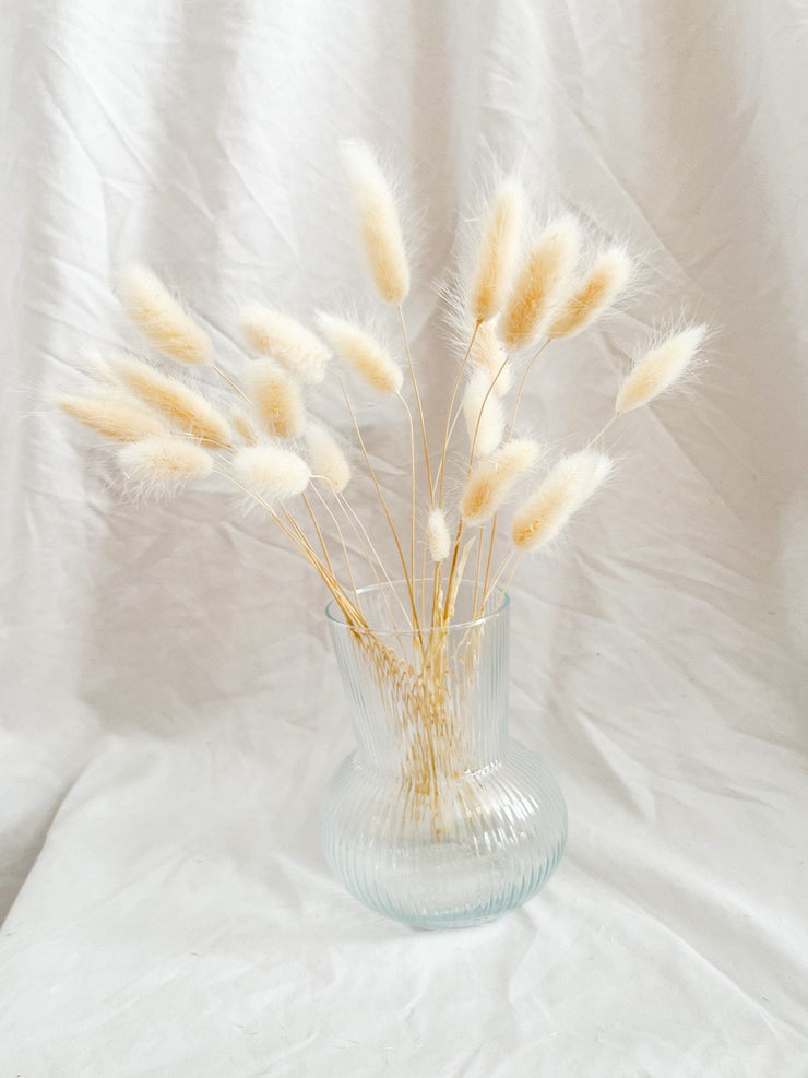 white dried flowers