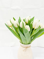 Fresh White Tulips
