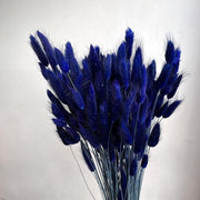 Blue Bunny Tails