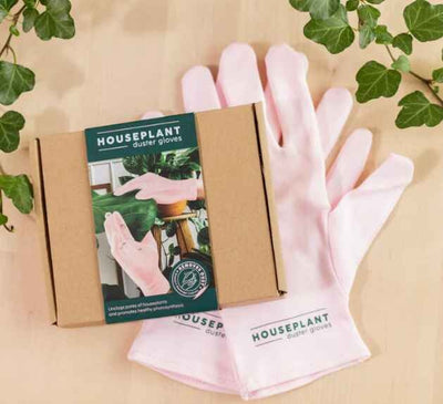 House plant duster gloves