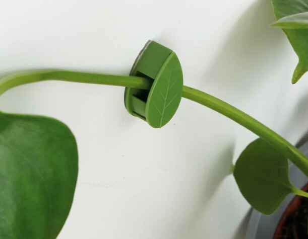 House Plant Climbing Clips