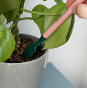 Mini House plant Tools