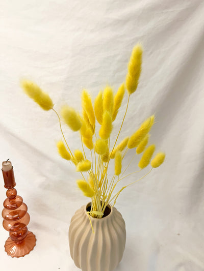 Yellow Bunny Tails