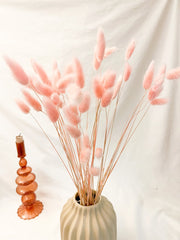 Pink dried bunny Tails 