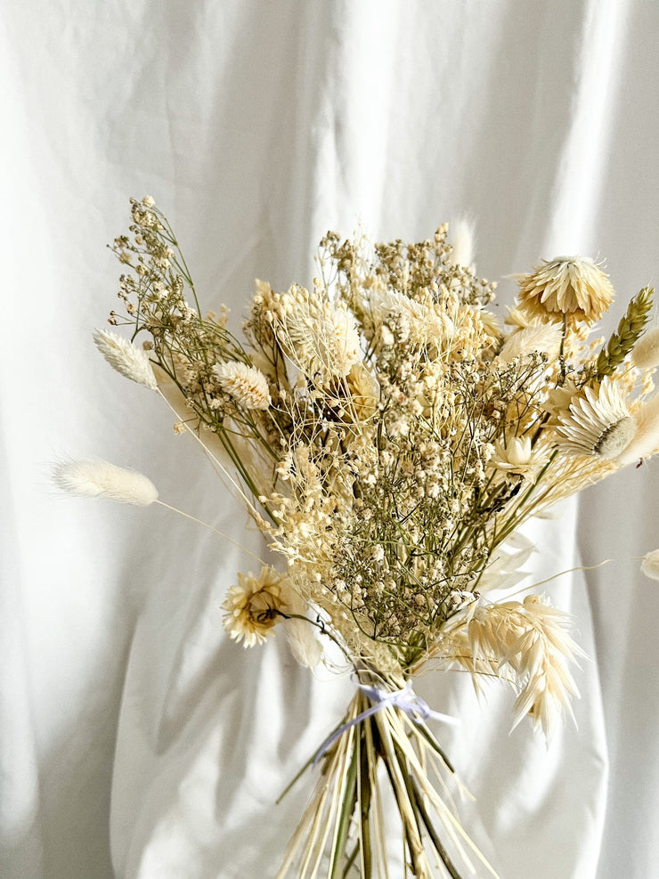 Dried White Flowers 