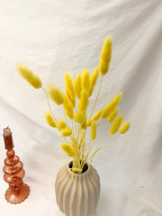 Yellow Bunny Tails