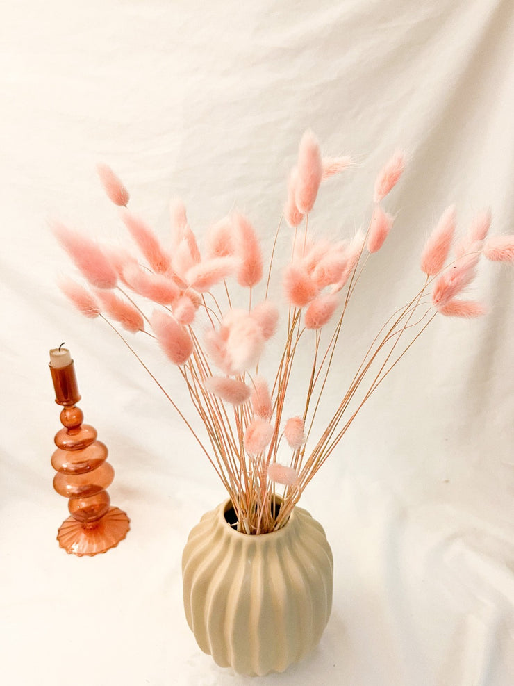 Pink dried bunny tails 