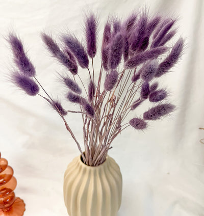 Lilac Bunny Tails