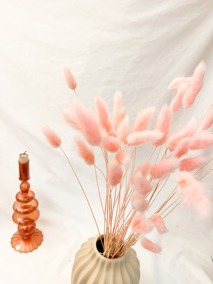 Dried pink flowers 